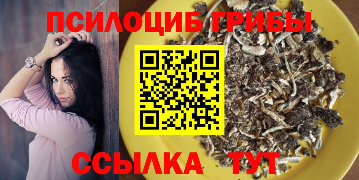 Псилоцибиновые грибы Magic Shrooms Чернушка