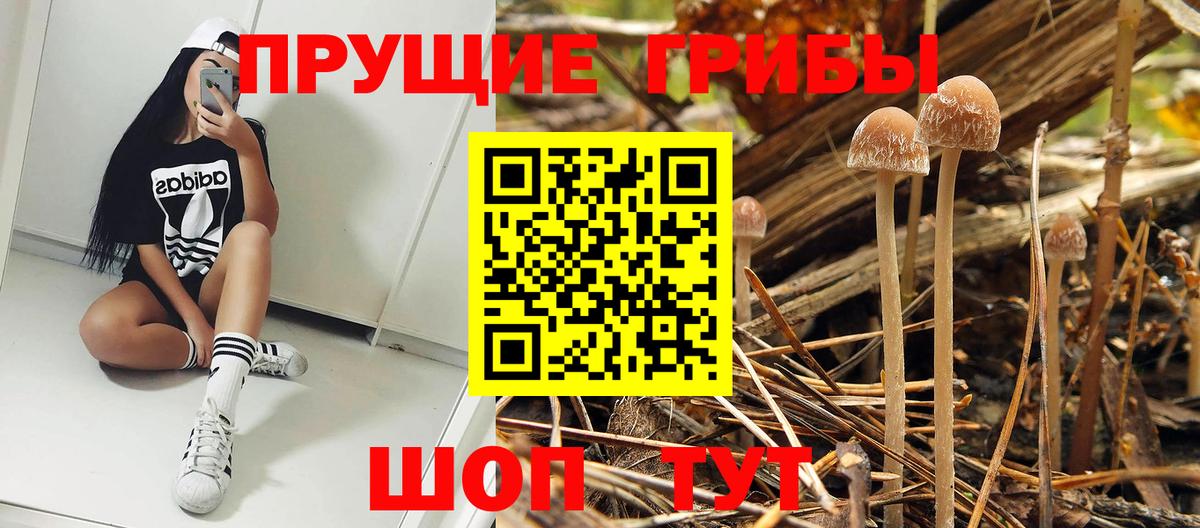 Псилоцибиновые грибы ЛСД  Галлюциногенные грибы прущие грибы  Вход с VPN  Чернушка 